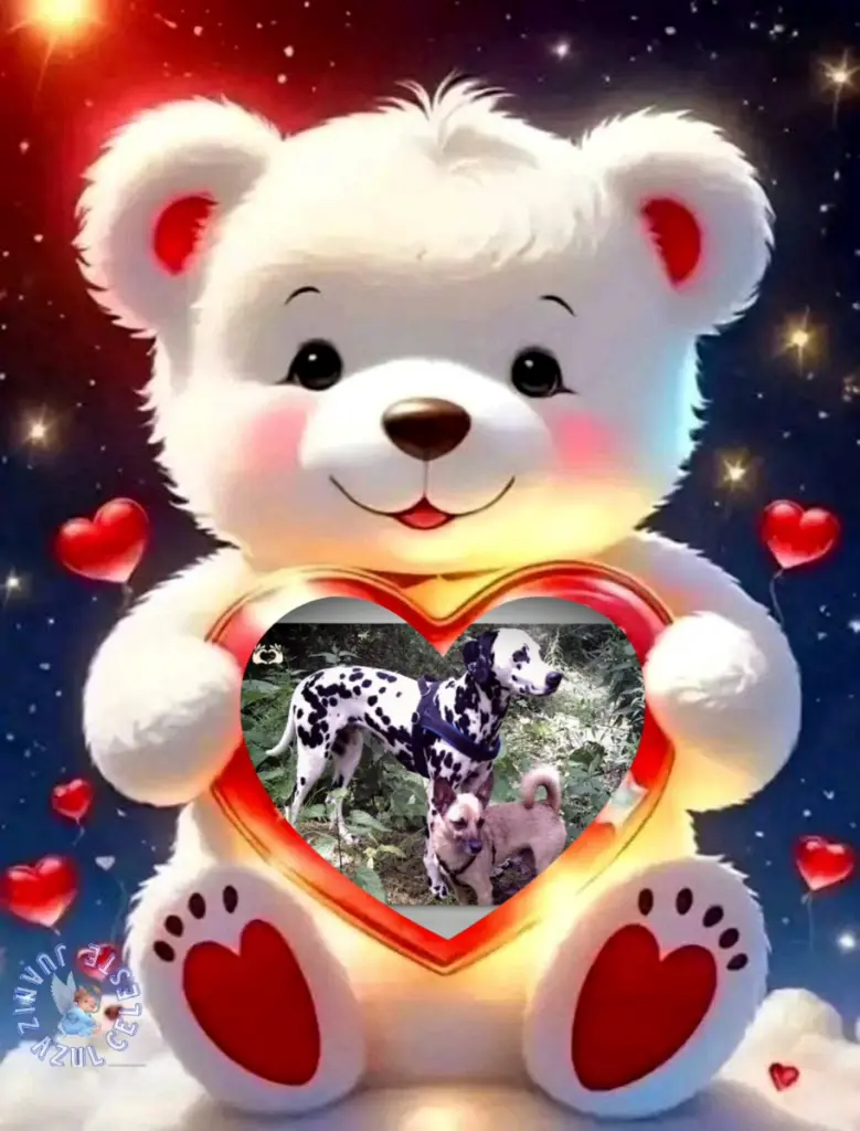 Condolence image of Sonntag❤️Rosenchen🌹🌹🌹🌹🌹🌹
