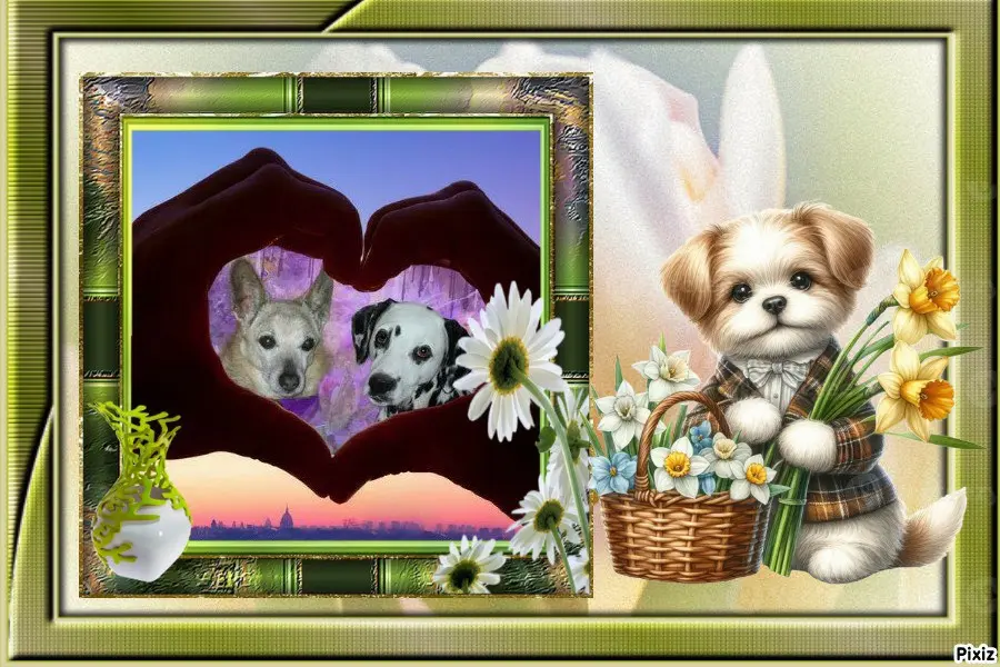 Condolence image of Tanja mit Timmy im 💖🐈🐾