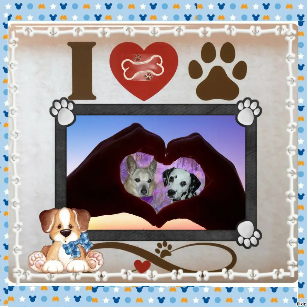 Condolence image of Tanja mit Timmy im 💖🐈🐾