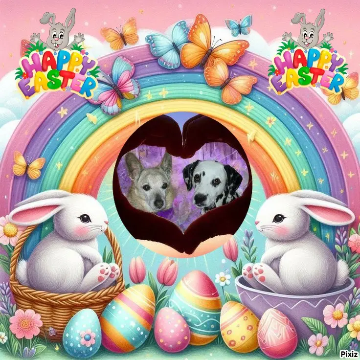 Condolence image of Tanja mit Timmy im 💖🐈🐾