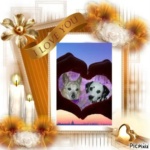Condolence image of Tanja mit Timmy im 💖🐈🐾