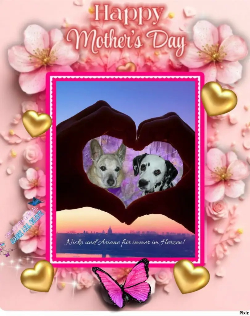 Condolence image of Tanja mit Timmy im 💖🐈🐾