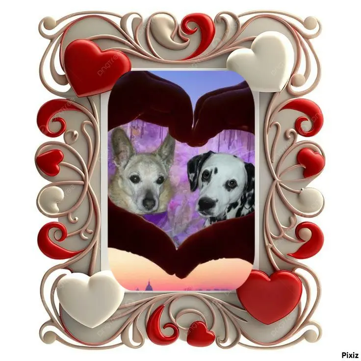 Condolence image of Tanja mit Timmy im 💖🐈🐾
