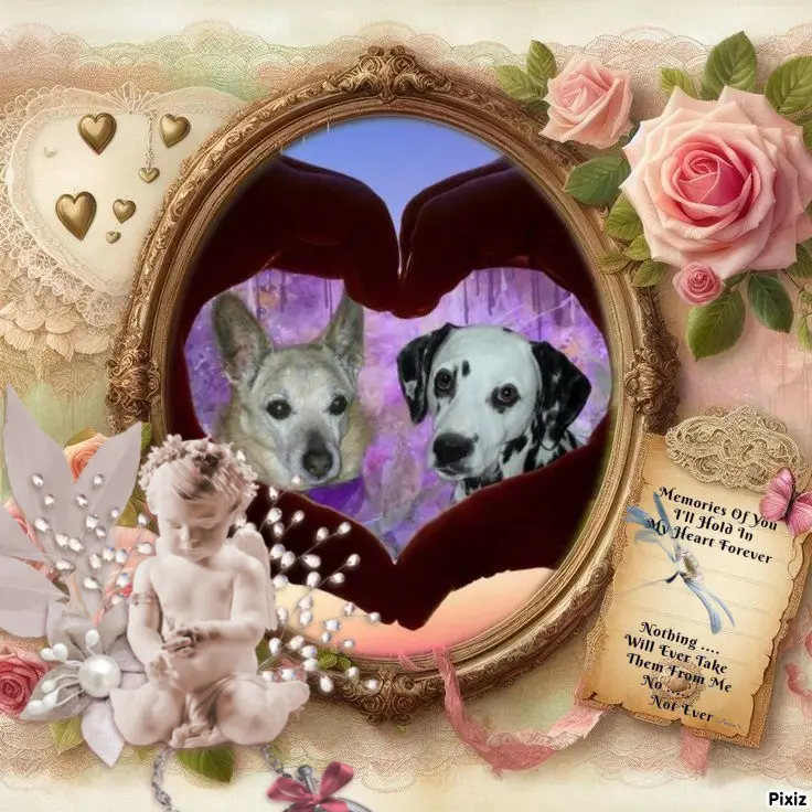 Condolence image of Tanja mit Timmy im 💖🐈🐾