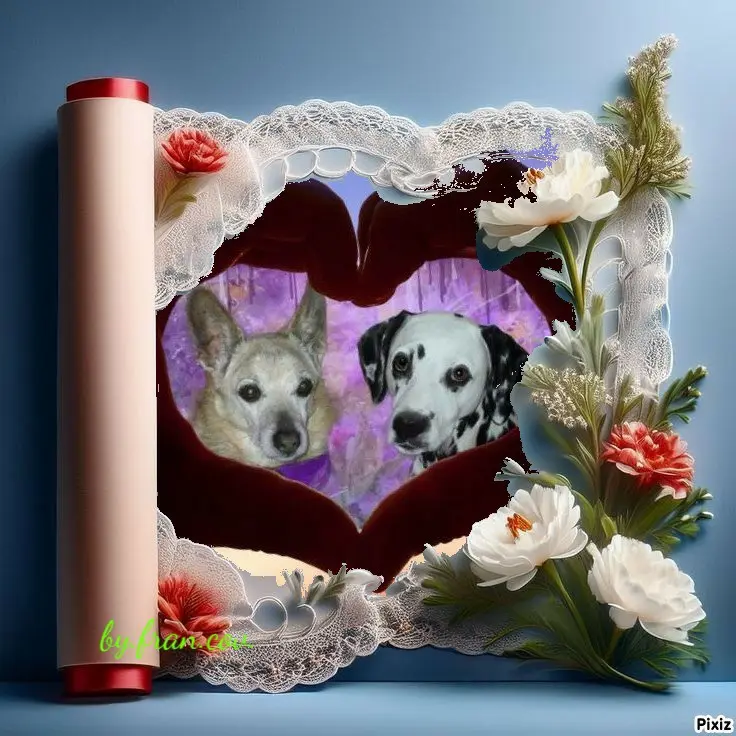 Condolence image of Tanja mit Timmy im 💖🐈🐾
