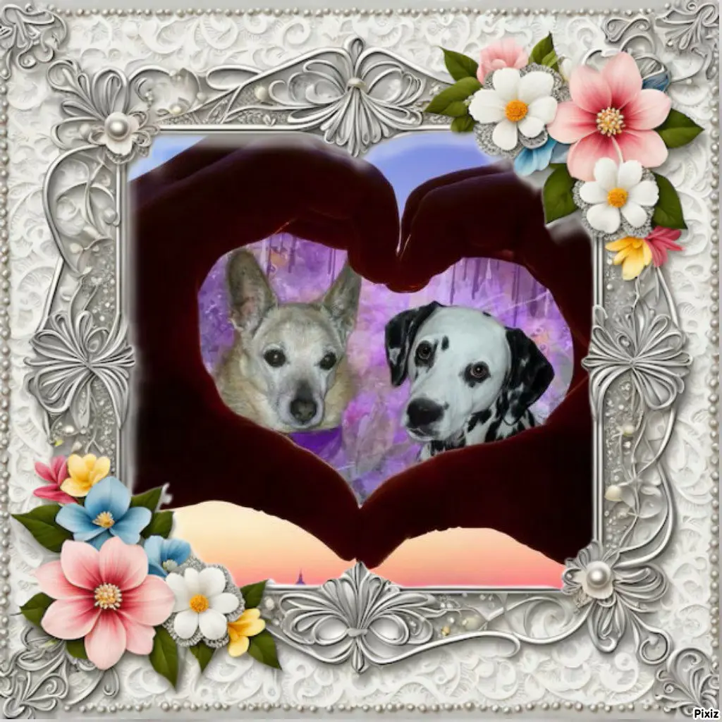 Condolence image of Tanja mit Timmy im 💖🐈🐾