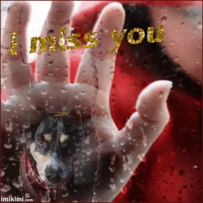 Image from Sally