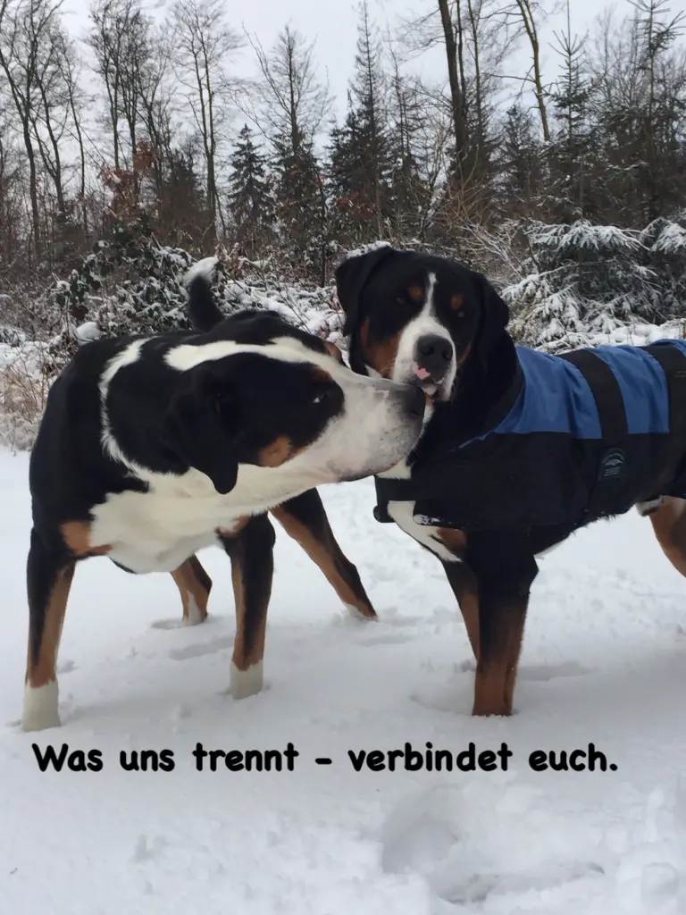Image from Herr Nilsson