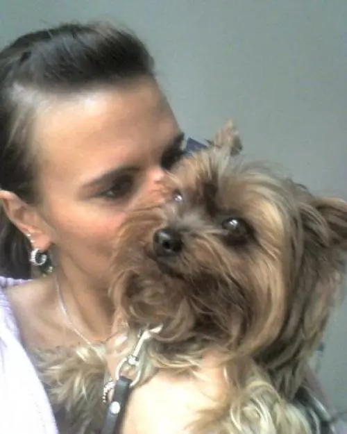 Image from DINA