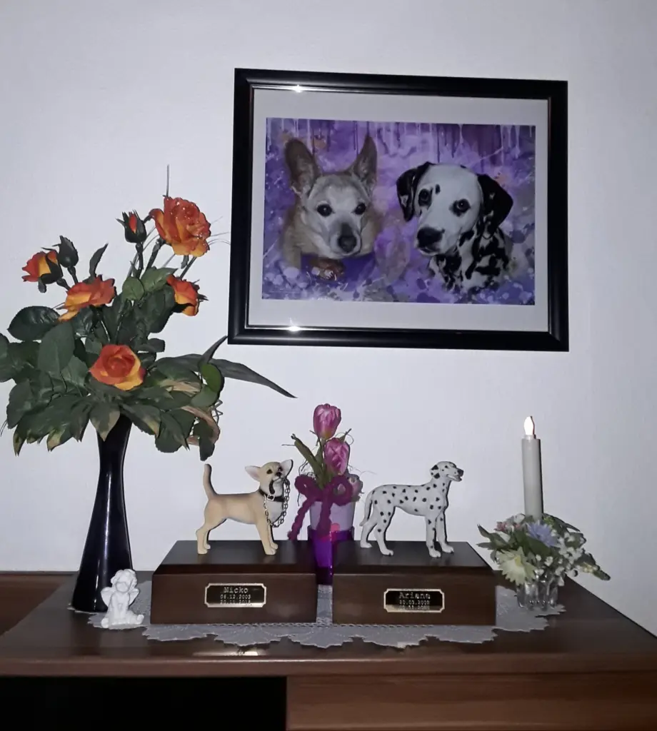 Condolence image of Michaela mit Nicko und Ariane ganz tief im ❤