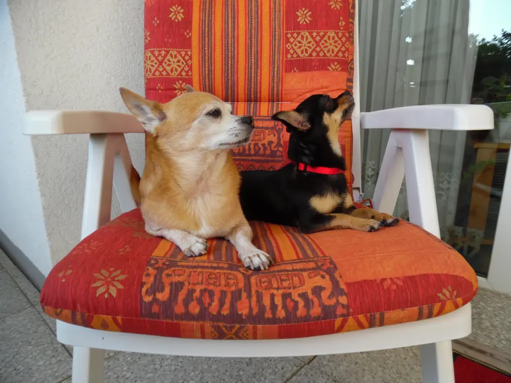 Condolence image of Irene mit Jimmy tief im Herzen