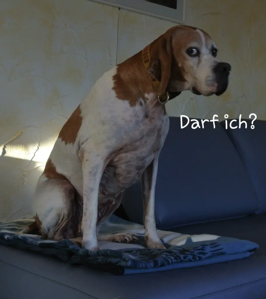 Bild von Zeta