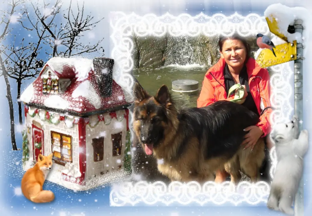 Condolence image of Klaudia mit Misiu❤❤❤Ganz Tief im Herzen❤