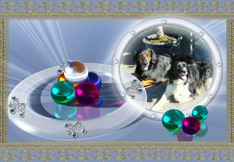 Condolence image of Brigitte mit Nelly, Benny und Axel im Herzen