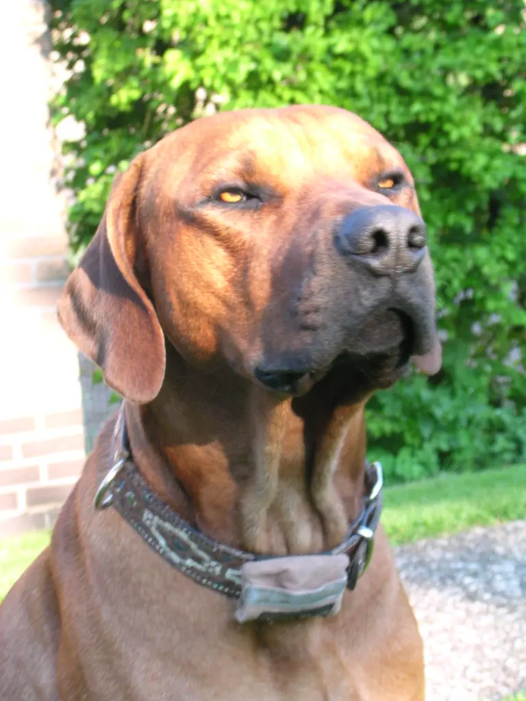 Condolence image of Britta