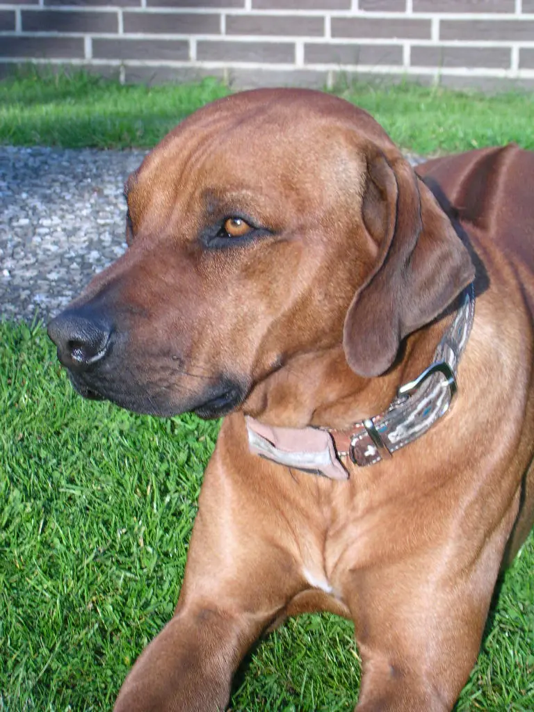 Condolence image of Britta