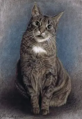 Image from Mein Krümel