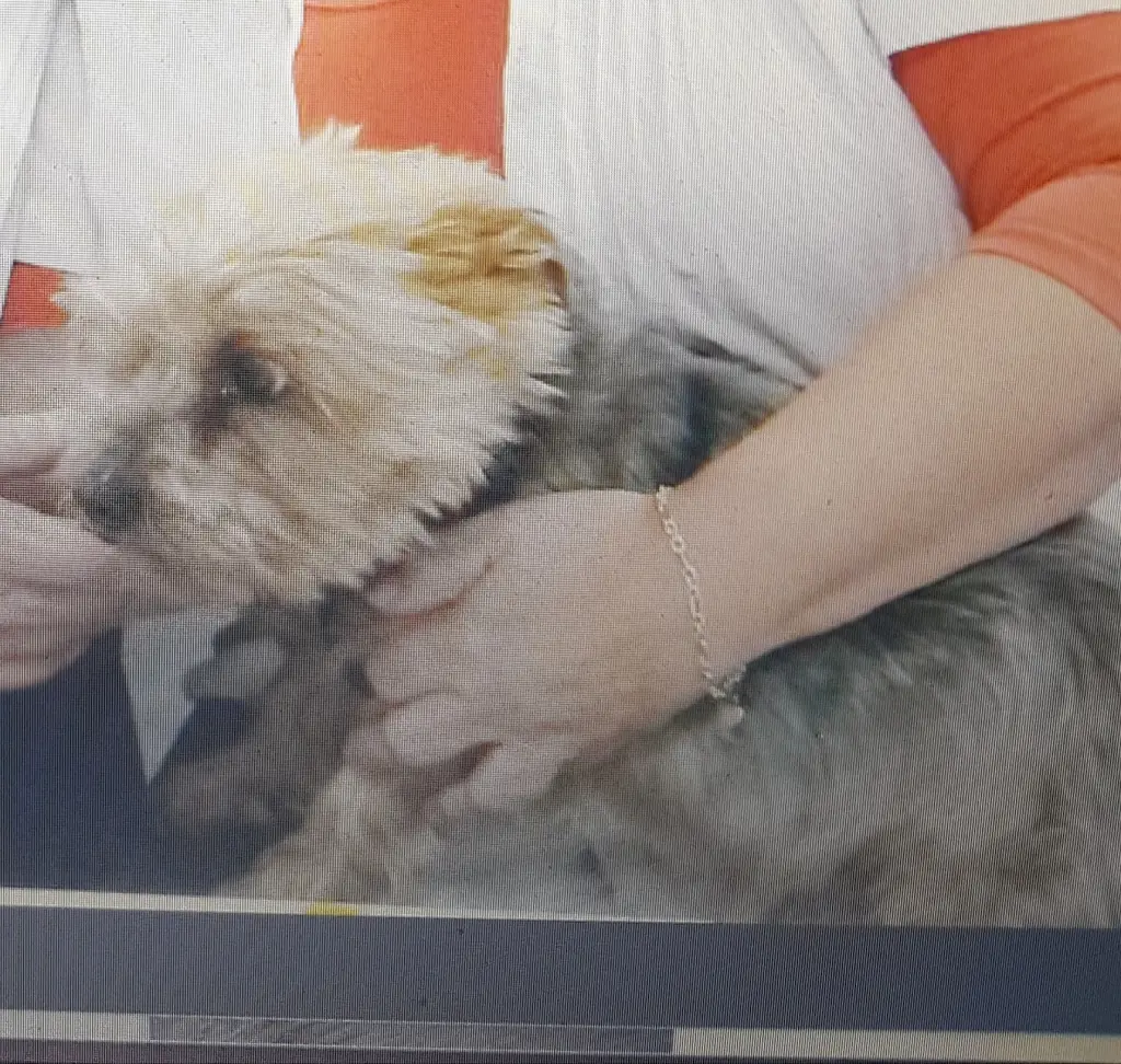 Condolence image of Rena Arends