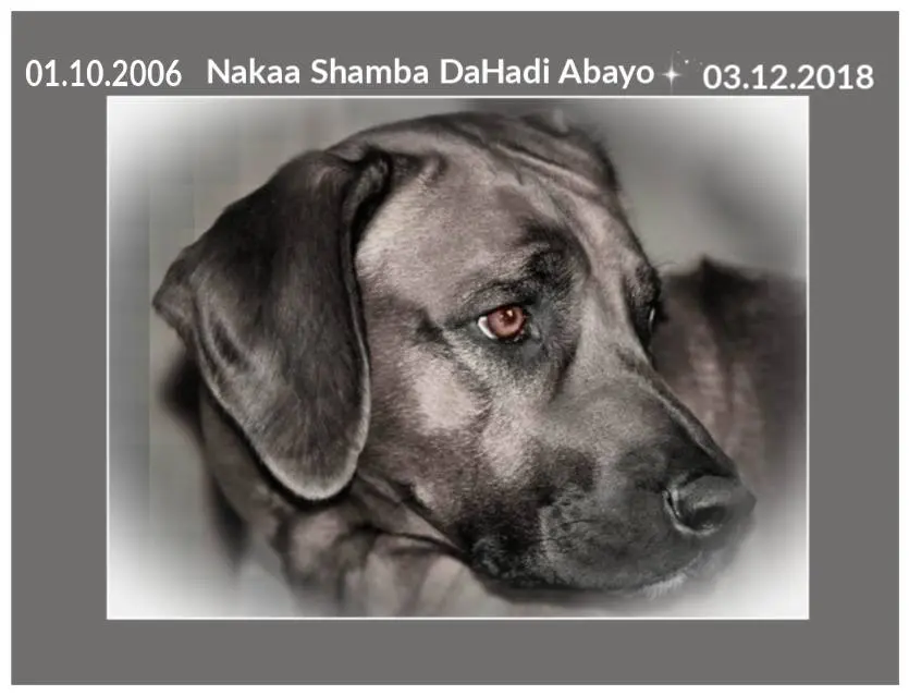 Image from Hadi