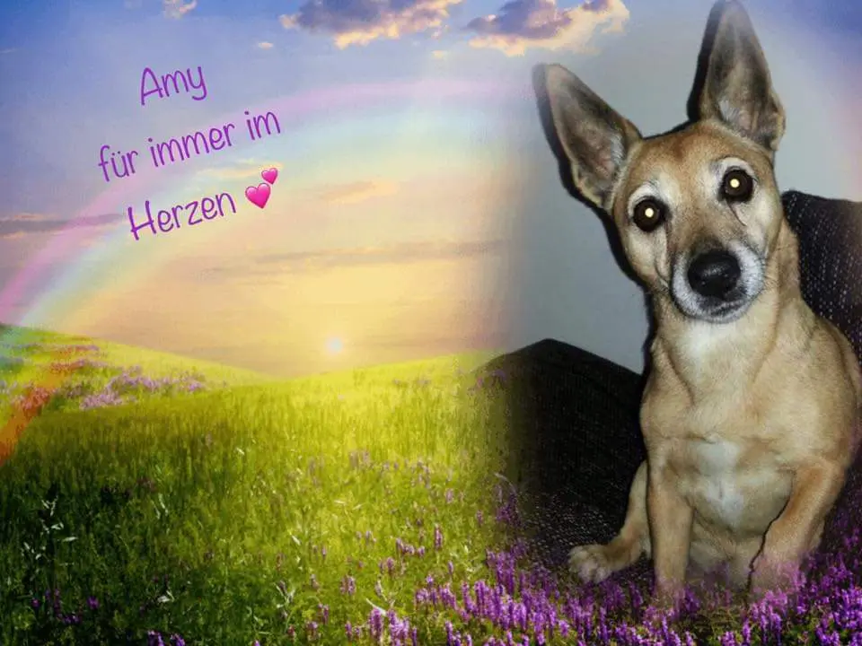 Image from Amy