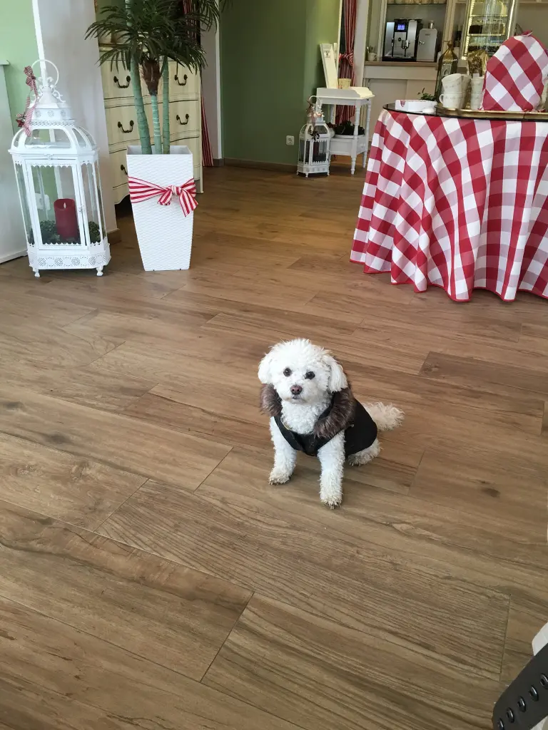 Image from Holly