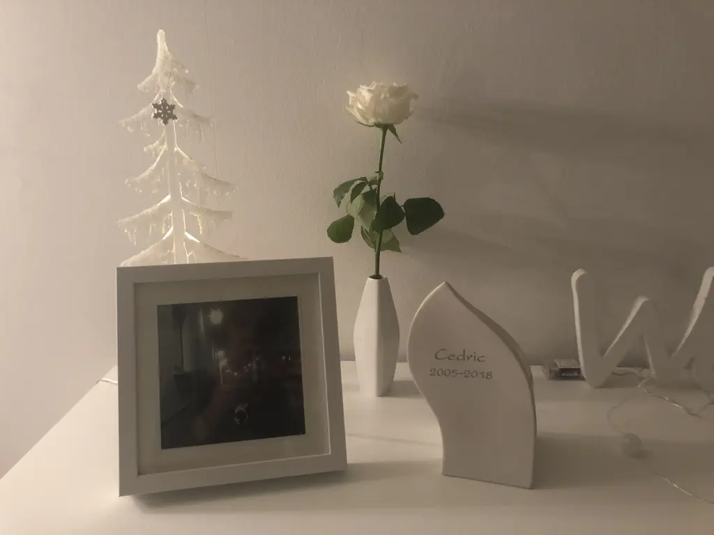 Condolence image of Susanne mit Cedric im Herzen 