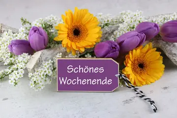 Condolence image of Michaela mit Nicko und Ariane ganz tief im ❤