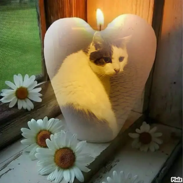Condolence image of ❤️❤️❤️