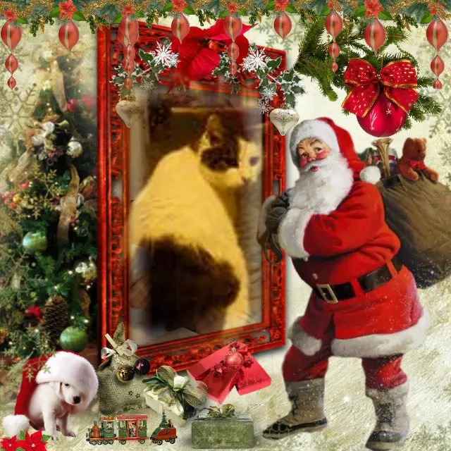 Condolence image of ❤️2.Advent❤️❤️und Nikolaus Tag❤️