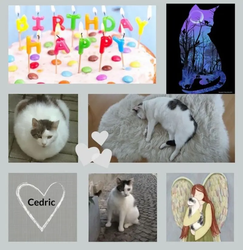 Condolence image of Happy Birthday, lieber Ceddi