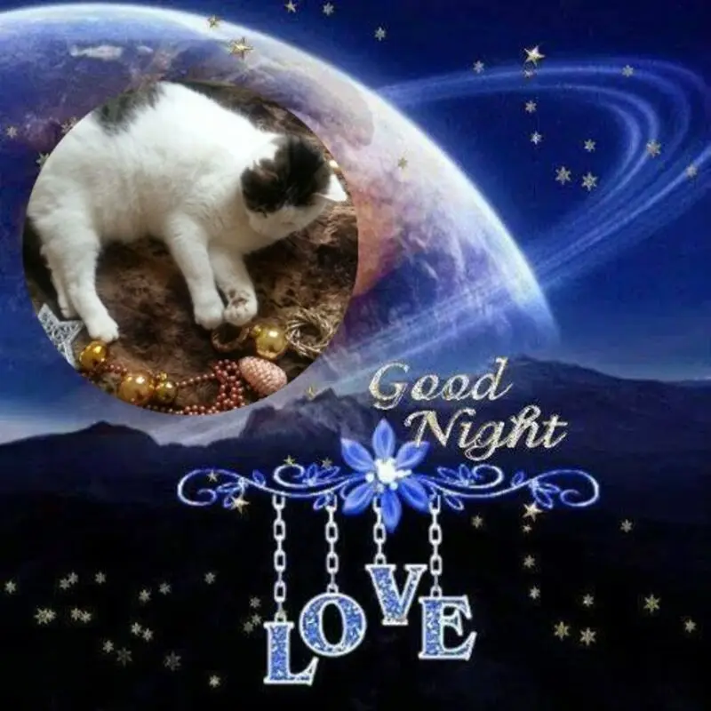 Condolence image of Gute Nacht❤️❤️❤️