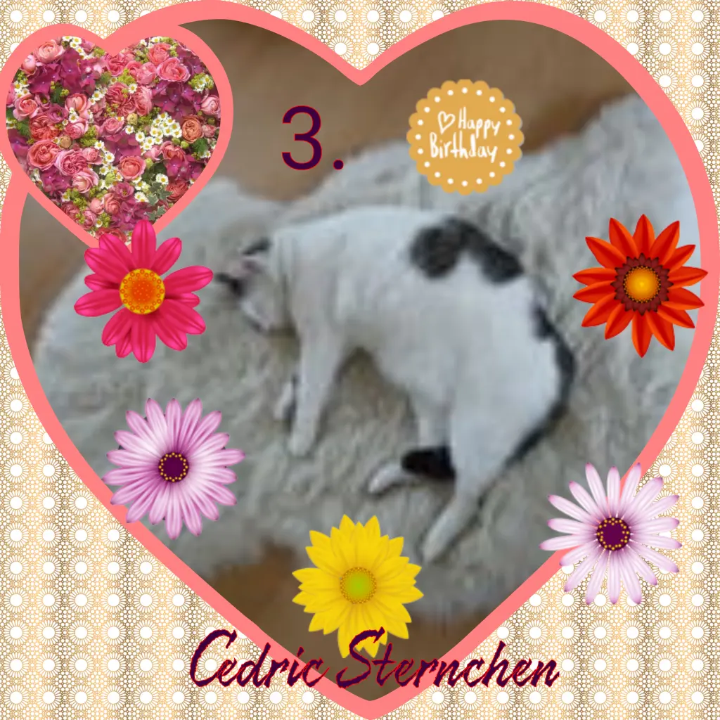 Condolence image of ❤Eike und Edeltraud mit Mulle, Miezi, Jonny, Felix, Lemmi, Tommi und Kira tief im Herzen ❤ ❤ ❤ ❤ ❤ ❤ ❤
