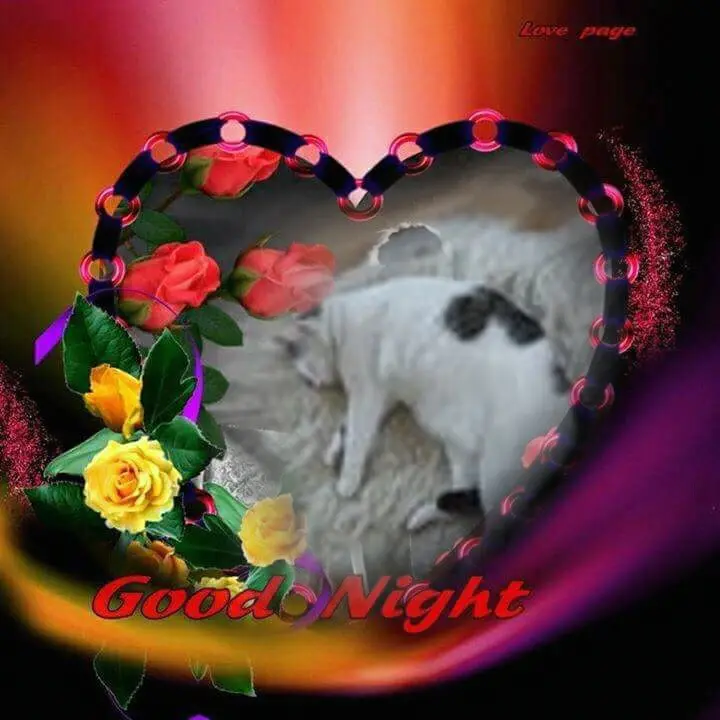 Condolence image of Gute Nacht❤️❤️❤️Mauschen❤️❤️❤️