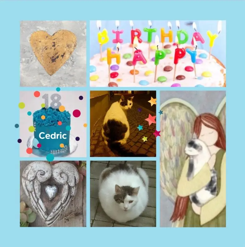 Condolence image of Rosen zum 18. Geburtstag für Cedric
