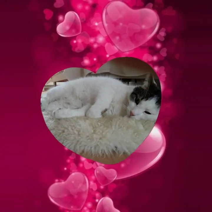 Condolence image of ❤️❤️❤️❤️❤️❤️❤️❤️❤️❤️❤️❤️