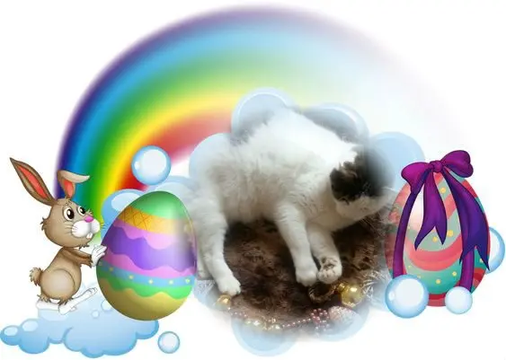 Condolence image of Frohe❤️❤️❤️Ostern❤️
