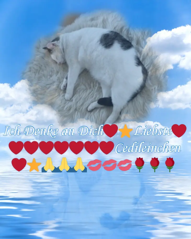 Condolence image of Fur Cedilein❤️⭐️
