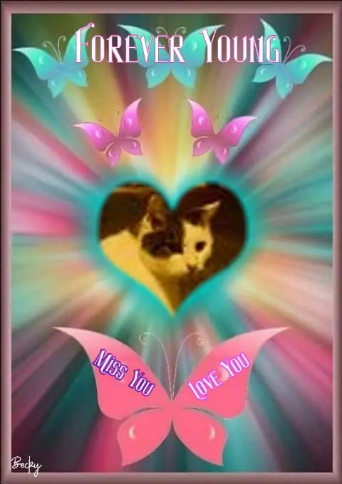 Condolence image of 5.Sternchen❤Gedenktag❤❤❤❤❤
