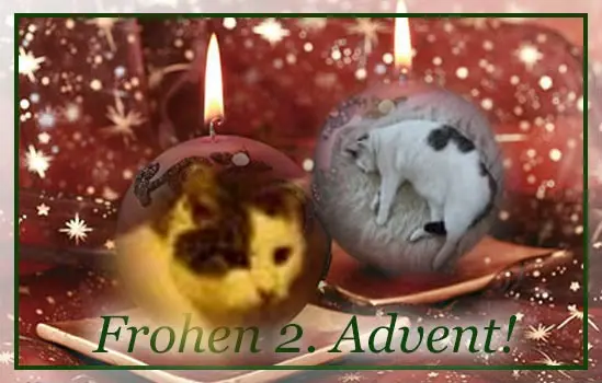 Condolence image of 2.Advent❤❤Rosen❤❤❤❤❤❤❤❤