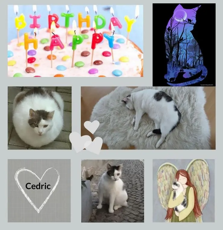 Condolence image of Happy Birthday Ceddie 