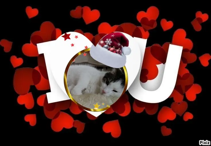 Condolence image of Gute Nacht❤️❤️❤️Mauschen❤️❤️❤️