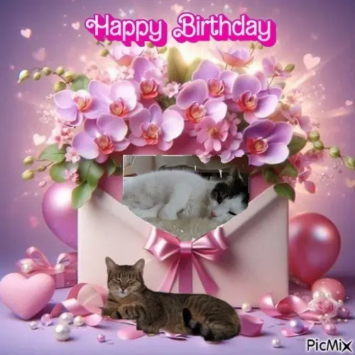 Condolence image of 20. Geburtstag❤️❤️❤️❤️❤️❤️❤️❤️❤️❤️❤️❤️❤️❤️❤️❤️❤️❤️❤️❤️