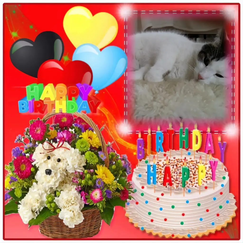 Condolence image of 21.Geburtstag❤️❤️❤️❤️❤️