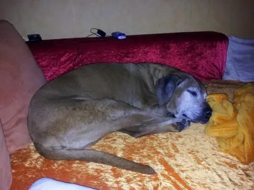 Image from Charly