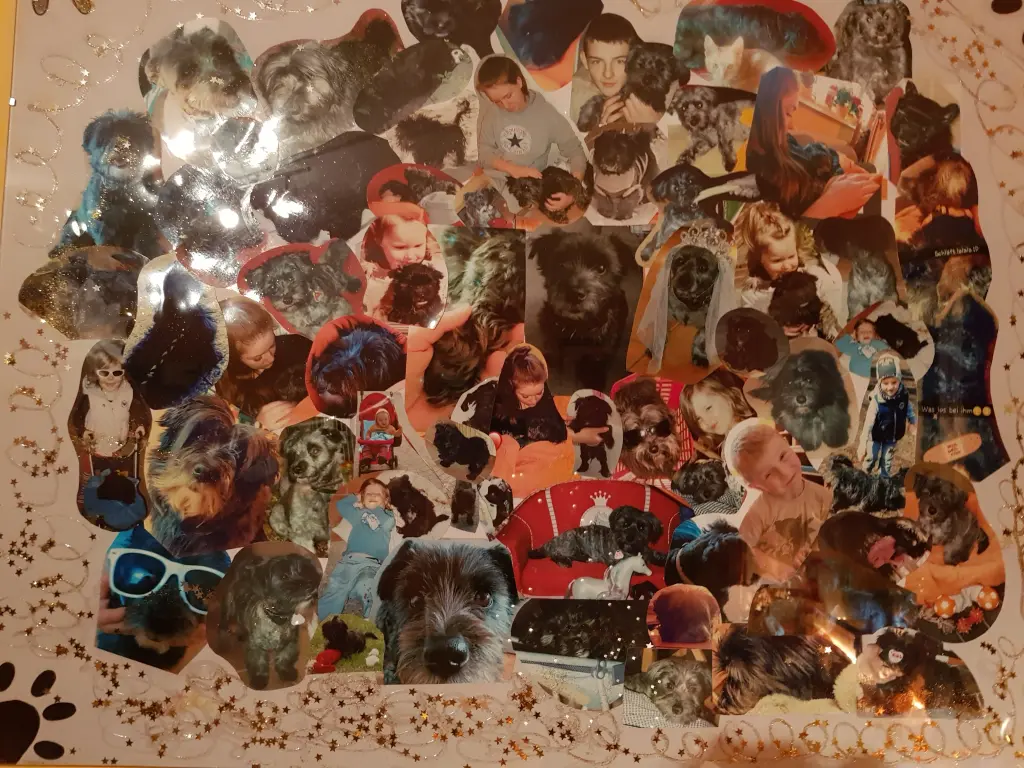 Image from Harry