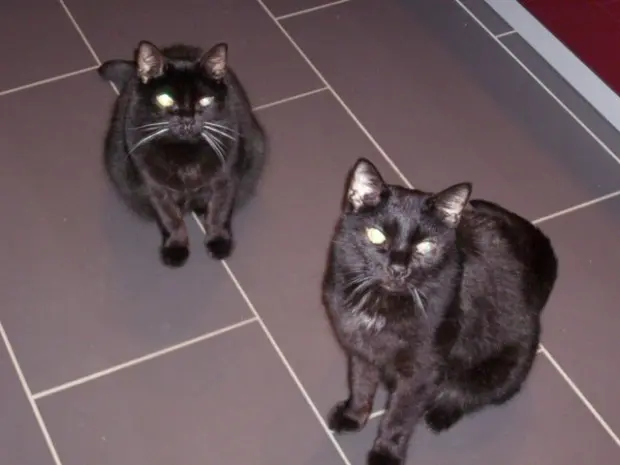 Image from Bärchen & Mucki