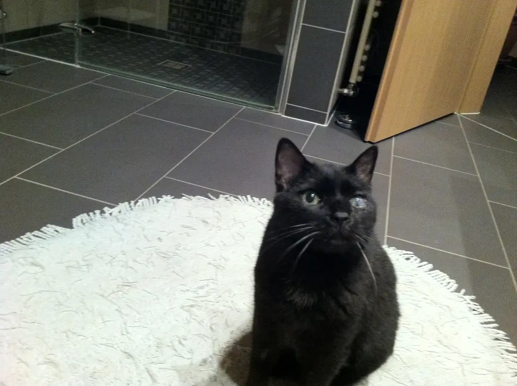 Image from Bärchen & Mucki