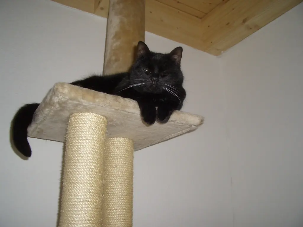 Image from Bärchen & Mucki