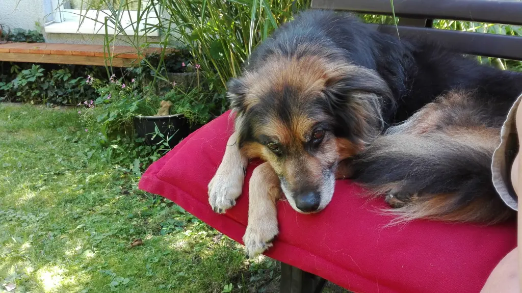 Condolence image of Ruth