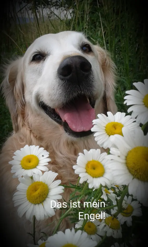 Condolence image of Für Ti-Lana ❤